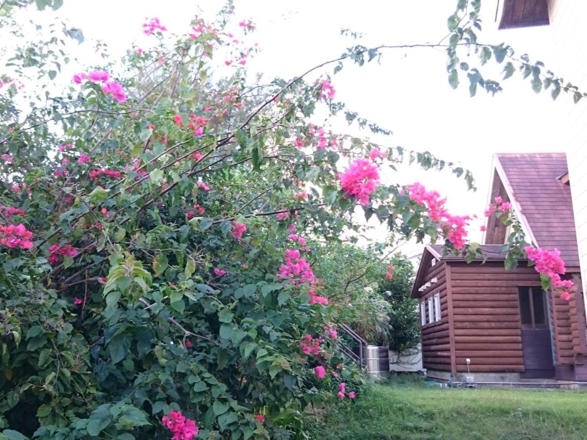 Garden Beach House 本部町 エクステリア 写真